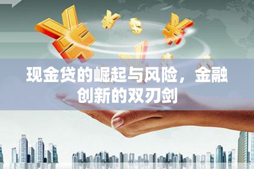 沈北新区现金贷的崛起与风险，金融创新的双刃剑