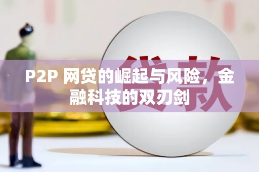 沈北新区P2P 网贷的崛起与风险，金融科技的双刃剑