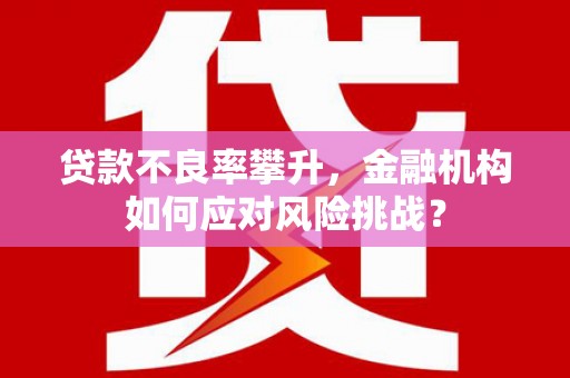沈北新区贷款不良率攀升，金融机构如何应对风险挑战？