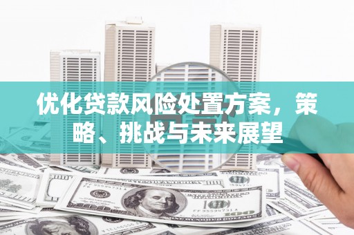 沈北新区优化贷款风险处置方案，策略、挑战与未来展望