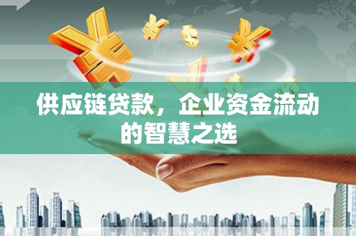 沈北新区供应链贷款，企业资金流动的智慧之选