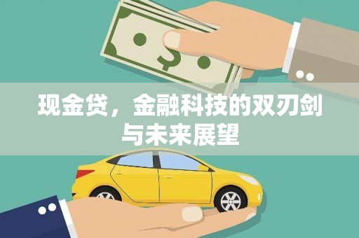 沈北新区现金贷，金融科技的双刃剑与未来展望