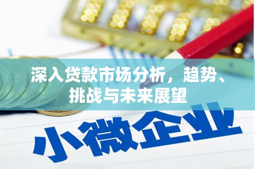 沈北新区深入贷款市场分析，趋势、挑战与未来展望