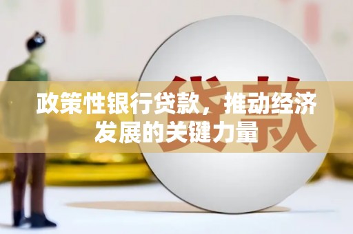 沈北新区政策性银行贷款，推动经济发展的关键力量