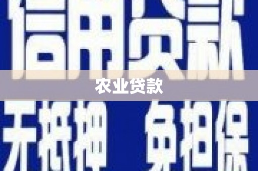 沈北新区农业贷款