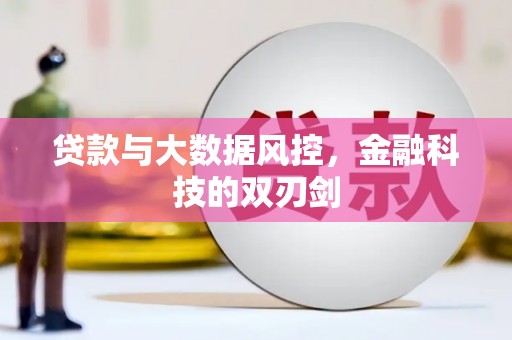 沈北新区贷款与大数据风控，金融科技的双刃剑