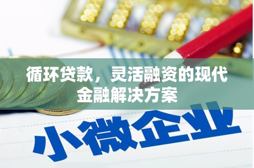 沈北新区循环贷款，灵活融资的现代金融解决方案