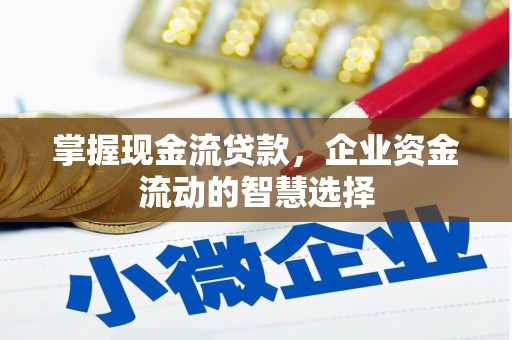 沈北新区掌握现金流贷款，企业资金流动的智慧选择