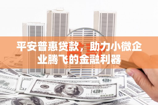 沈北新区平安普惠贷款，助力小微企业腾飞的金融利器