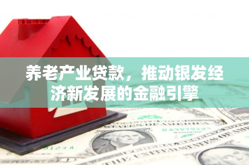 沈北新区养老产业贷款，推动银发经济新发展的金融引擎