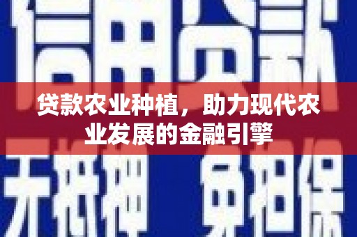 沈北新区贷款农业种植，助力现代农业发展的金融引擎