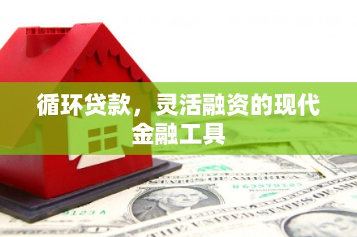 沈北新区循环贷款，灵活融资的现代金融工具