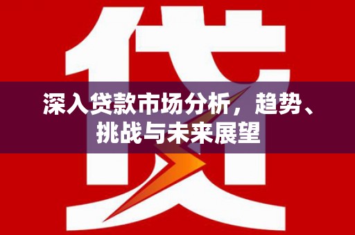 沈北新区深入贷款市场分析，趋势、挑战与未来展望