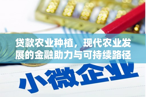 沈北新区贷款农业种植，现代农业发展的金融助力与可持续路径