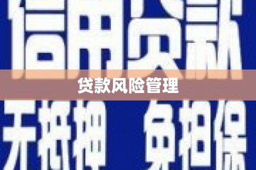 沈北新区贷款风险管理
