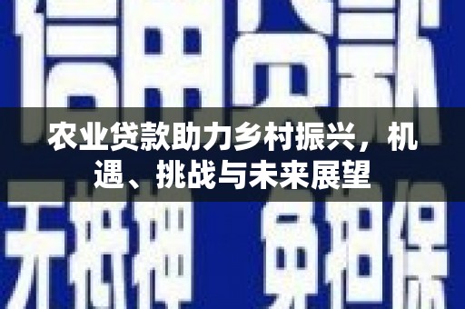 沈北新区农业贷款助力乡村振兴，机遇、挑战与未来展望