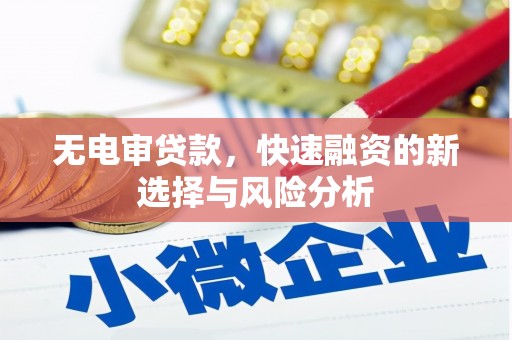 沈北新区无电审贷款，快速融资的新选择与风险分析