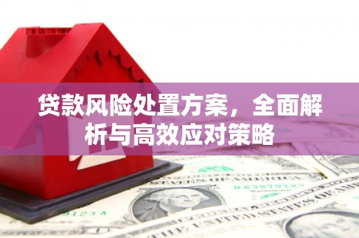 沈北新区贷款风险处置方案，全面解析与高效应对策略