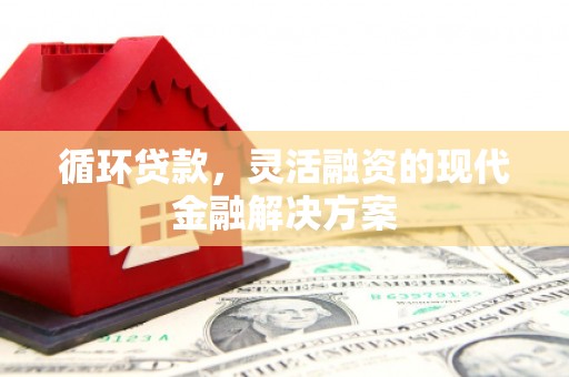 沈北新区循环贷款，灵活融资的现代金融解决方案
