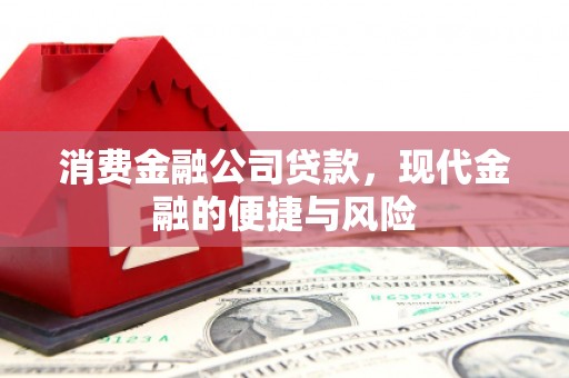 沈北新区消费金融公司贷款，现代金融的便捷与风险