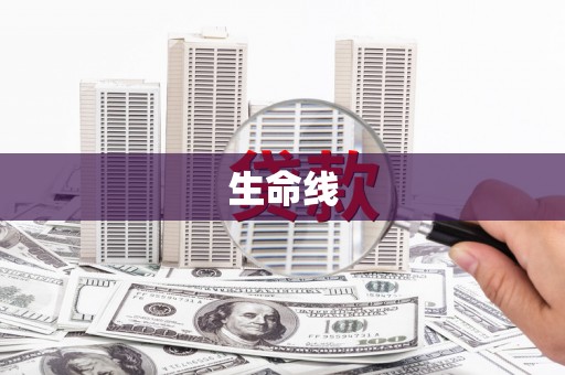 沈北新区生命线