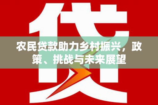 沈北新区农民贷款助力乡村振兴，政策、挑战与未来展望