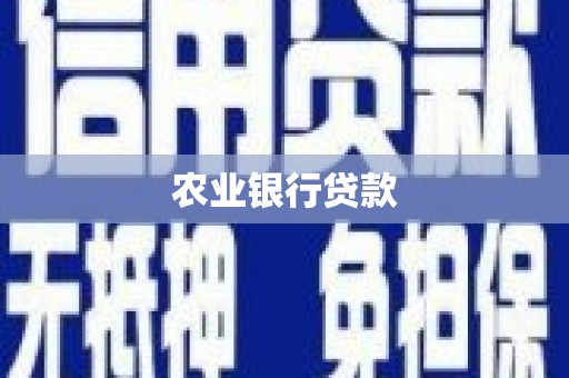 沈北新区农业银行贷款