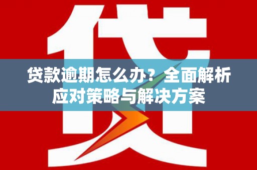 沈北新区贷款逾期怎么办？全面解析应对策略与解决方案
