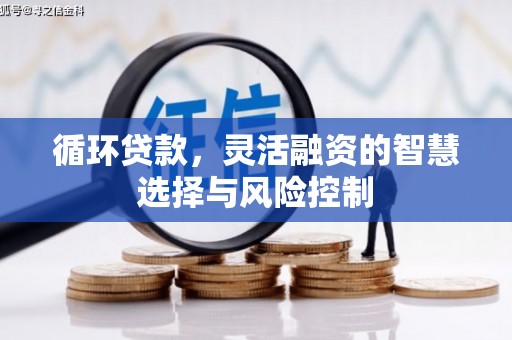 沈北新区循环贷款，灵活融资的智慧选择与风险控制