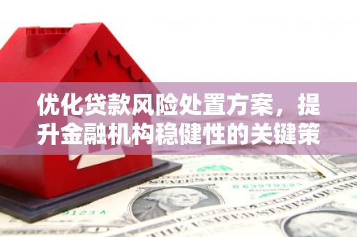 沈北新区优化贷款风险处置方案，提升金融机构稳健性的关键策略