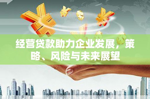 沈北新区经营贷款助力企业发展，策略、风险与未来展望