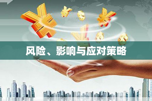 沈北新区风险、影响与应对策略