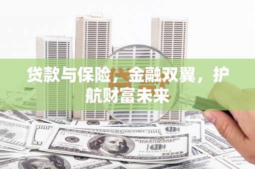 沈北新区贷款与保险，金融双翼，护航财富未来
