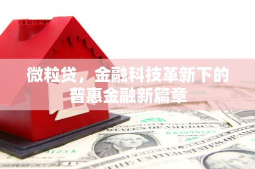 沈北新区微粒贷，金融科技革新下的普惠金融新篇章
