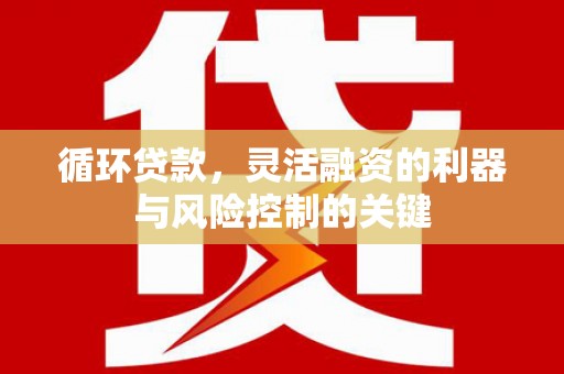 沈北新区循环贷款，灵活融资的利器与风险控制的关键