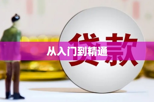 沈北新区从入门到精通