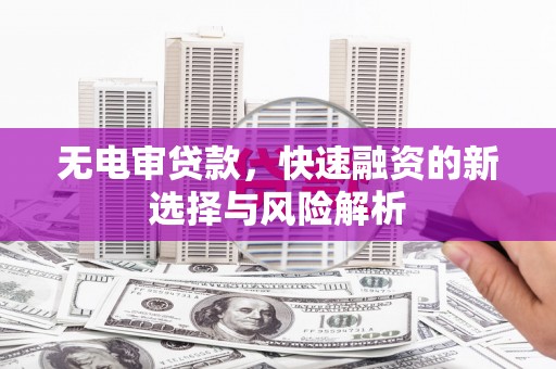 沈北新区无电审贷款，快速融资的新选择与风险解析