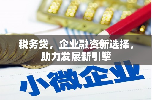 沈北新区税务贷，企业融资新选择，助力发展新引擎