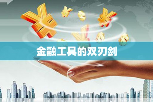 沈北新区金融工具的双刃剑