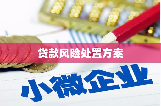 沈北新区贷款风险处置方案