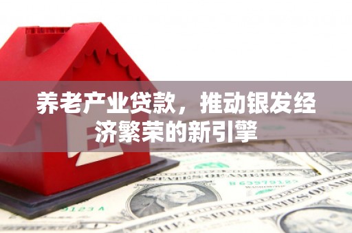 沈北新区养老产业贷款，推动银发经济繁荣的新引擎