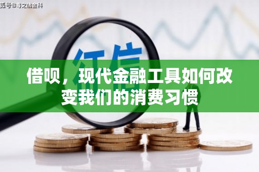 沈北新区借呗，现代金融工具如何改变我们的消费习惯