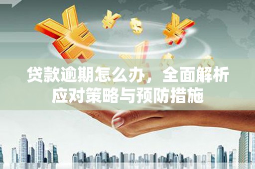 沈北新区贷款逾期怎么办，全面解析应对策略与预防措施