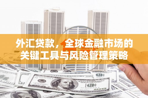 沈北新区外汇贷款，全球金融市场的关键工具与风险管理策略