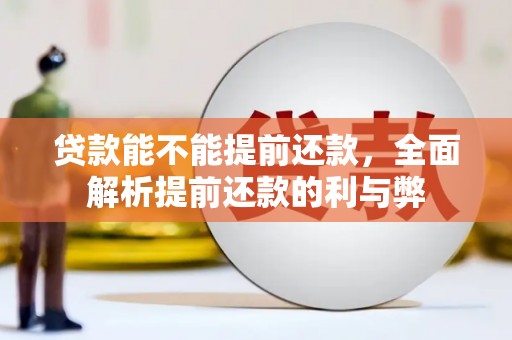 沈北新区贷款能不能提前还款，全面解析提前还款的利与弊