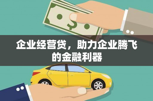 沈北新区企业经营贷，助力企业腾飞的金融利器
