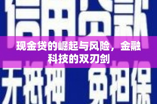 沈北新区现金贷的崛起与风险，金融科技的双刃剑