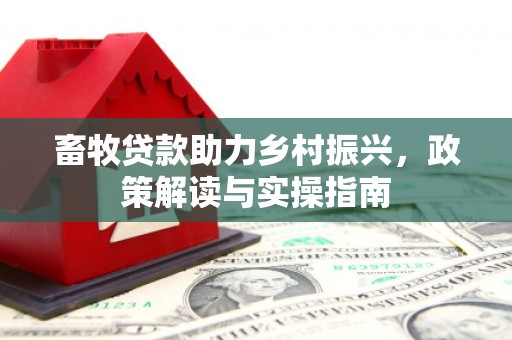 沈北新区畜牧贷款助力乡村振兴，政策解读与实操指南