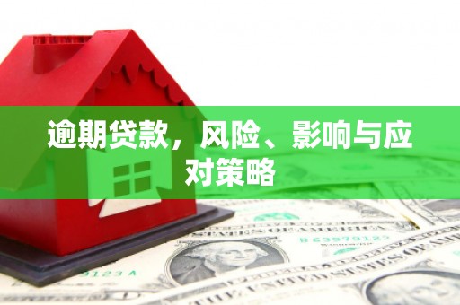 沈北新区逾期贷款，风险、影响与应对策略