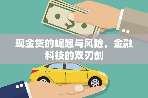 沈北新区现金贷的崛起与风险，金融科技的双刃剑